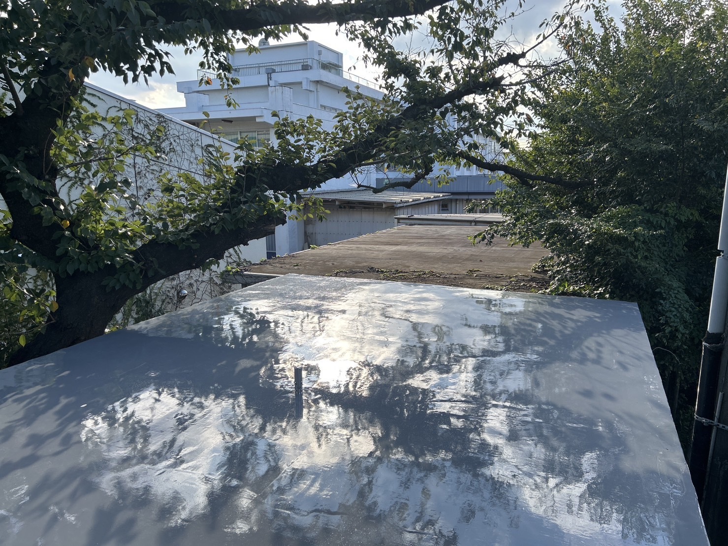 立川市総合福祉センター