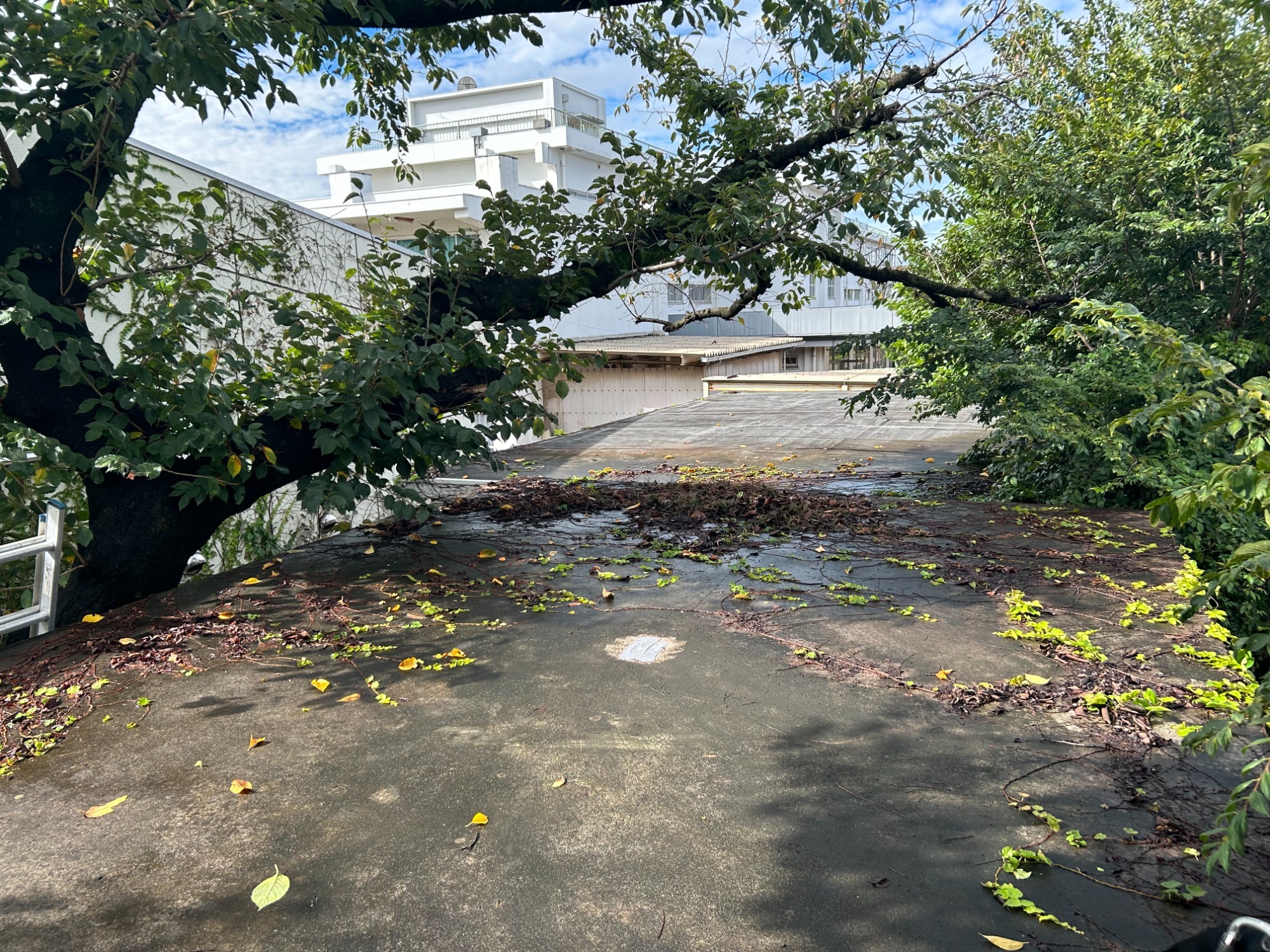 立川市総合福祉センター